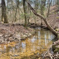 6 - Acres Tallapoosa County AL