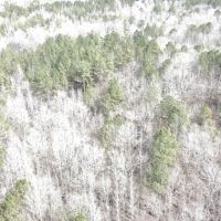 6 - Acres Tallapoosa County AL images 2