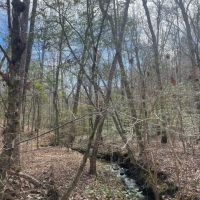 6 - Acres Tallapoosa County AL images 5