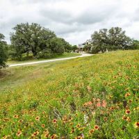 Burrow Guadalupe River Ranch images 2