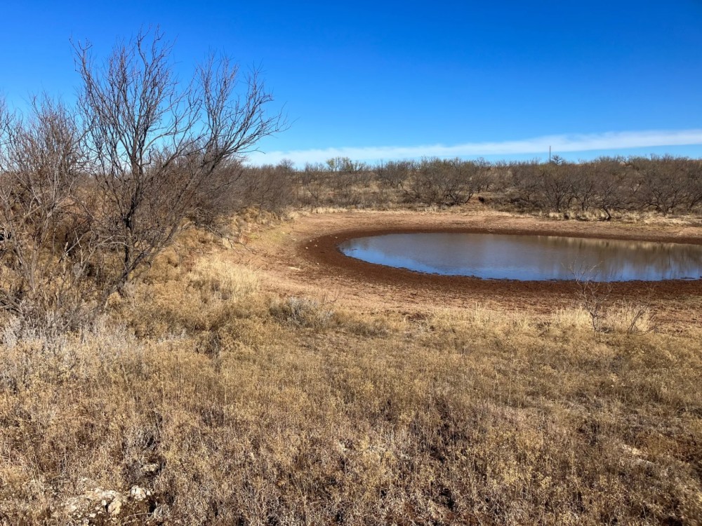 North Bryan Ranch featured image