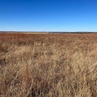 North Bryan Ranch images 2