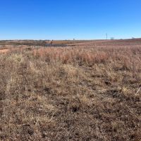 North Bryan Ranch images 5