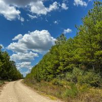 585 Acres The Game Preserve images 2
