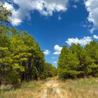 585 Acres The Game Preserve images 5