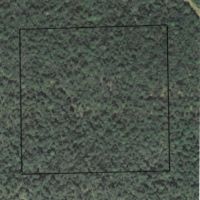 FLAT BUSH 10 - JUST REDUCED images 2