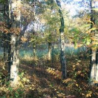 160 acres Monroe County, Missouri