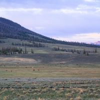 Cochetopa Dome Ranch images 3
