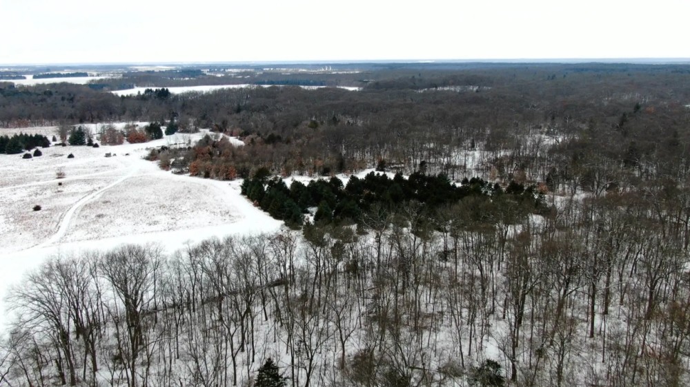Mason County Illinois 152 Acres For Sale featured image