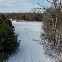 Mason County Illinois 152 Acres For Sale images 4