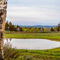 Top of the World Ranch images 3