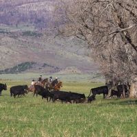 Top of the World Ranch images 4