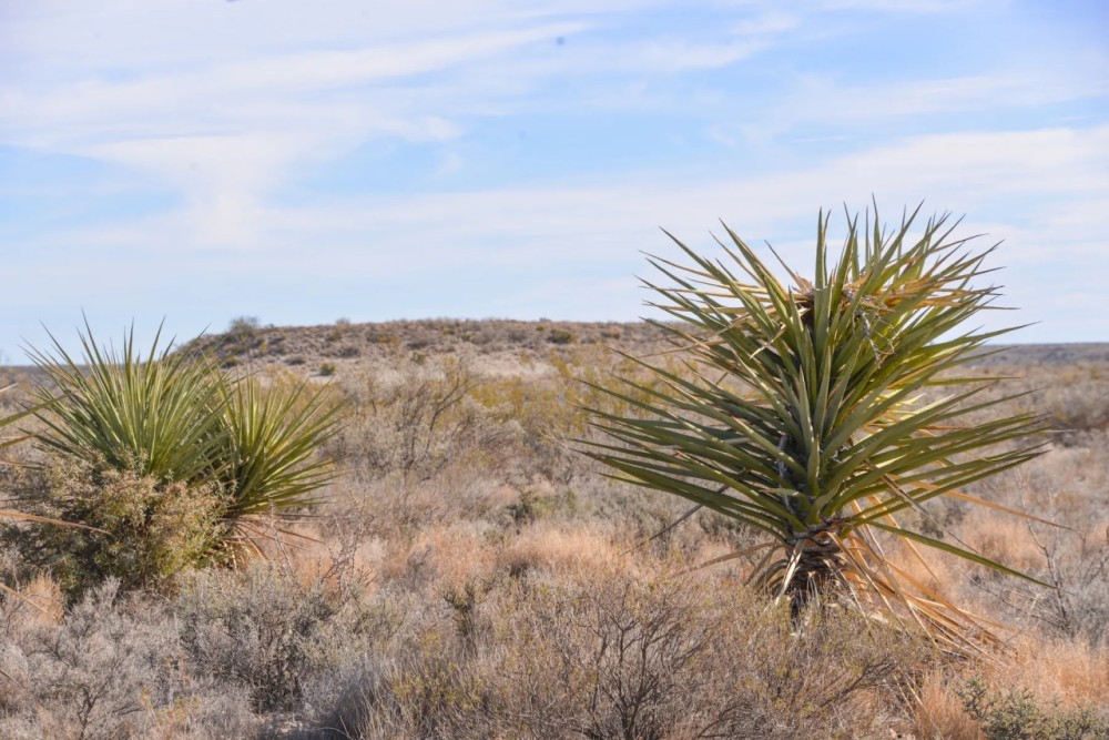 Outlaw Canyon Ranch featured image