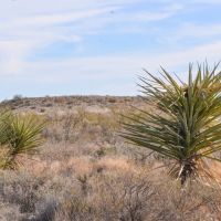 Outlaw Canyon Ranch