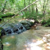 167 AC Edwards RD Jackson GA 30233 images 2