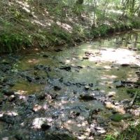 167 AC Edwards RD Jackson GA 30233 images 4