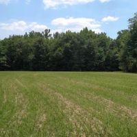 167 AC Edwards RD Jackson GA 30233 images 5