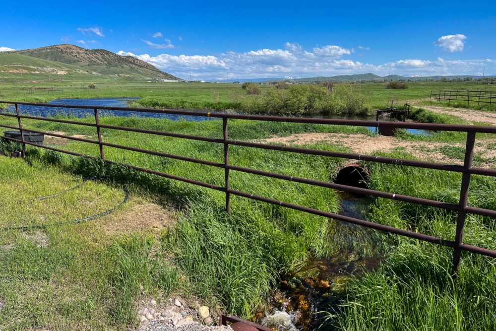 McKenzie Bloodstock Ranch featured image