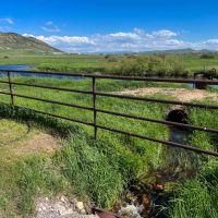 McKenzie Bloodstock Ranch