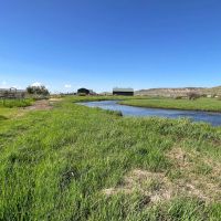 McKenzie Bloodstock Ranch images 3