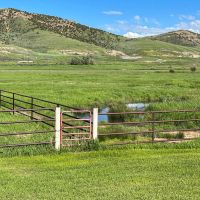 McKenzie Bloodstock Ranch images 4