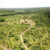 81.5 ACRES CADDO PARISH LOUISIANA