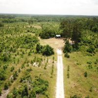81.5 ACRES CADDO PARISH LOUISIANA images 2