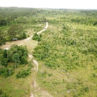 81.5 ACRES CADDO PARISH LOUISIANA images 5