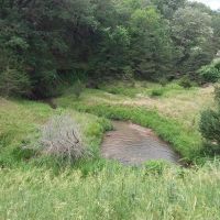 6503-NE- Large 988 Ac Whitetail Lease in NE Nebraska with big bucks and a growing deer population