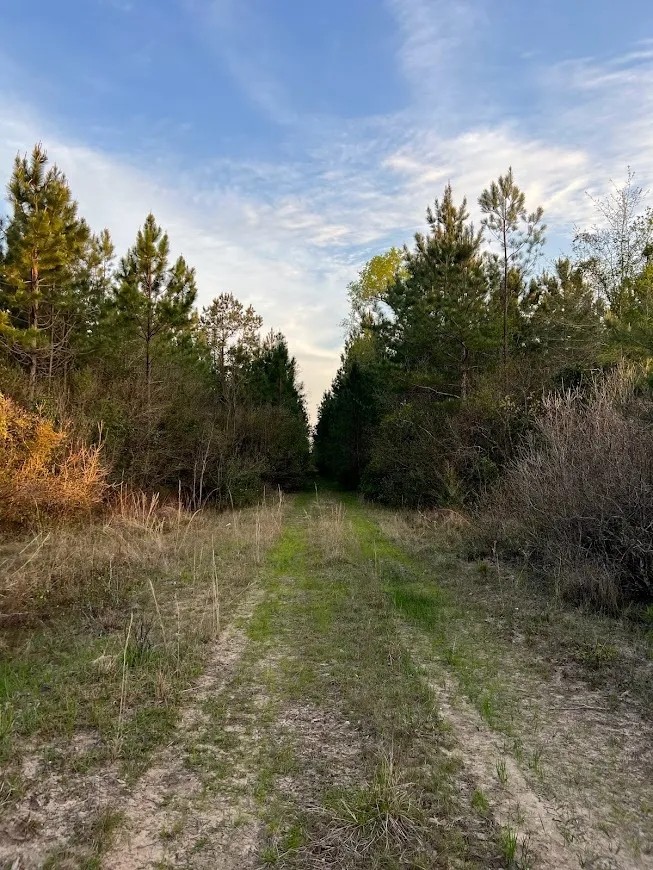 417 ACRES HARDIN COUNTY TEXAS featured image