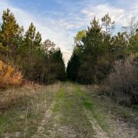 417 ACRES HARDIN COUNTY TEXAS