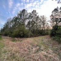 417 ACRES HARDIN COUNTY TEXAS images 5