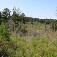 SU121221 Fayette Tract images 2
