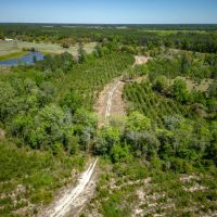 Hurricane Creek Bluff