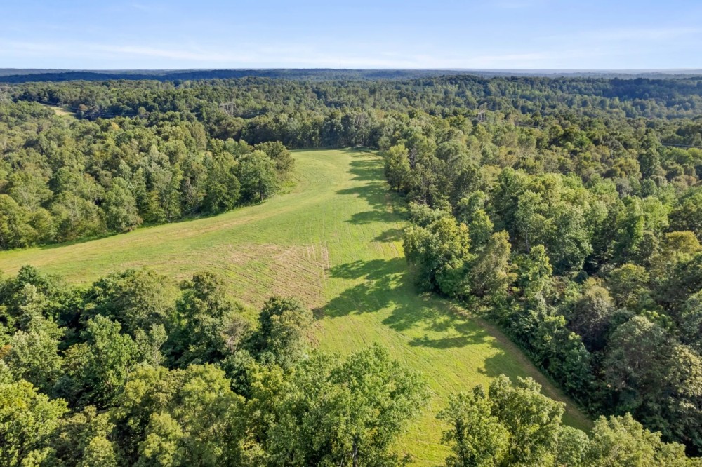 100 acres in Dickson County TN featured image