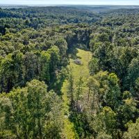 100 acres in Dickson County TN images 2
