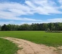 61 Acres in Catahoula Parish in Sicily Island LA images 3