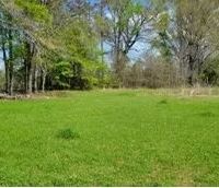 61 Acres in Catahoula Parish in Sicily Island LA images 4