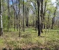 61 Acres in Catahoula Parish in Sicily Island LA images 5