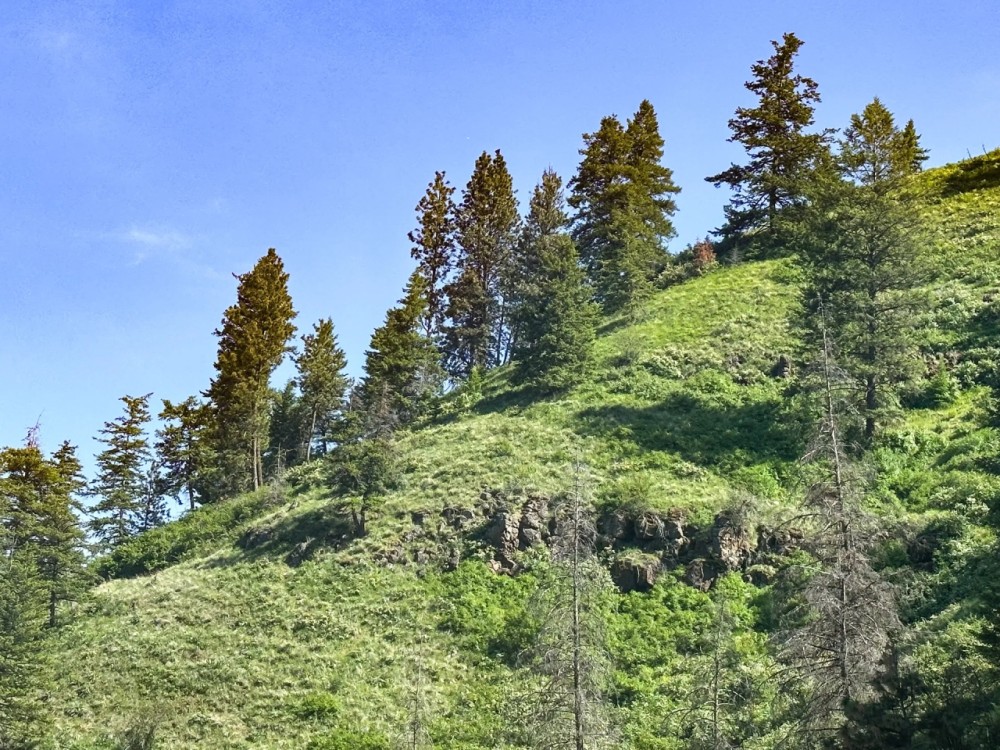 Applegate Canyon Ranch featured image