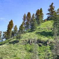 Applegate Canyon Ranch