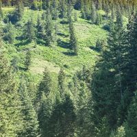 Applegate Canyon Ranch images 3