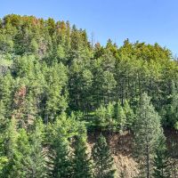 Applegate Canyon Ranch images 4