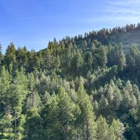 Applegate Canyon Ranch images 5