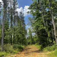 443 Acres in Attala County MS