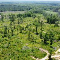 443 Acres in Attala County MS images 2