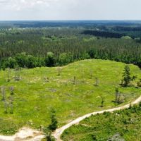 443 Acres in Attala County MS images 3