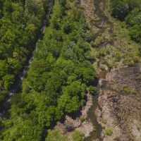 Escape to the Tranquil Beauty of East Tennessee Your Dream Home Awaits images 4