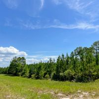 250 Acres FM 3152 images 4