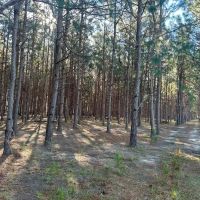 Old happy Farm - Tract 1